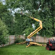 Best Tree Risk Assessment  in St James, MO